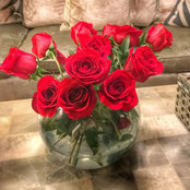 Sarah Gallo's photo