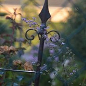 Karin Nickstadt's photo