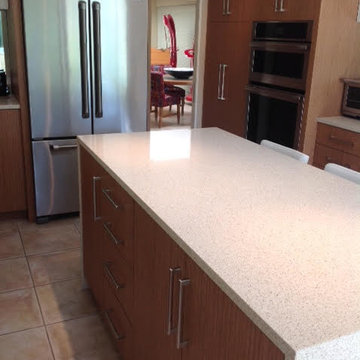 Scheuer Kitchen Photos