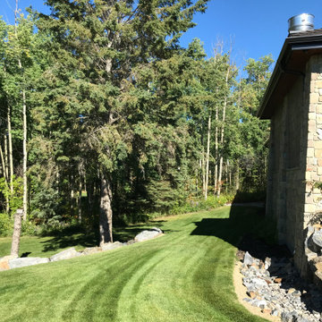 Average Maintenance (High profile client)