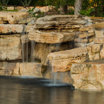 El Rio Del Bosque