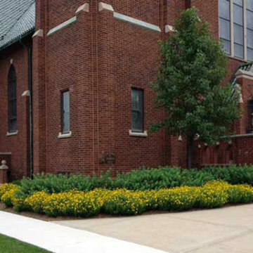 Landscape Design