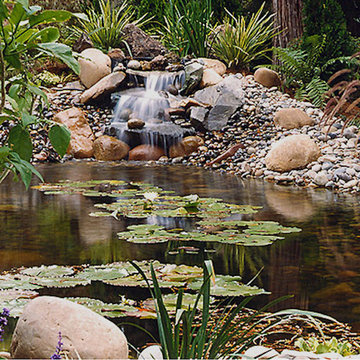 Water Garden Landscape