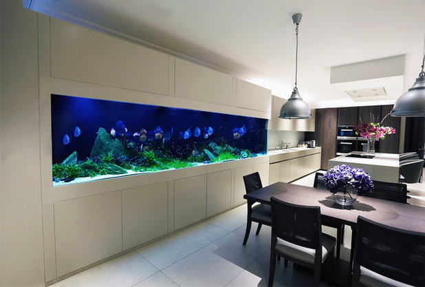 Contemporary Kitchen by Aquarium Architecture