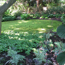 lawns