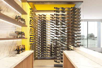 Modern Wine Cellar Designs: A Fusion of Functionality and Elegance
