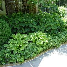 Landscaping Front