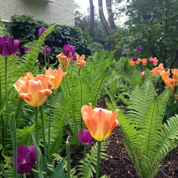Great Plant Combos