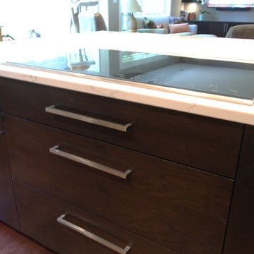 Induction Cooktop with Down Draft Ventilation