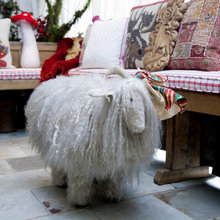 Sheep anything