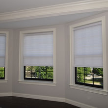 Living room windows