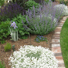 Exterior ideas
