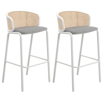 LeisureMod Ervilla Bar Stool With White Coated Steel Frame Set of 2, Gray