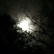 Jennifer Pionek's photo
