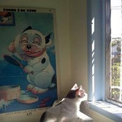 Anne Mello's photo