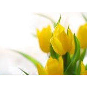 Heather Mccully Galloway's photo