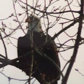 Kim Dowdle's photo