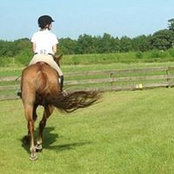 Kellie Pesola's photo