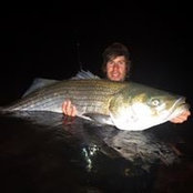Frank Goncalves's photo