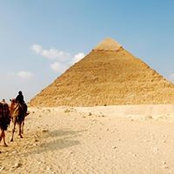 Reem Youssef's photo