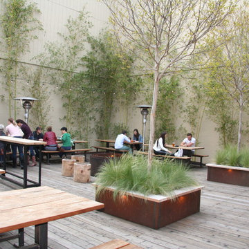 Urban Dining