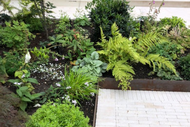 Garden in London.