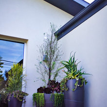 Front Patios