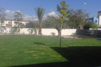Foto de acceso privado actual de tamaño medio en patio delantero con exposición parcial al sol