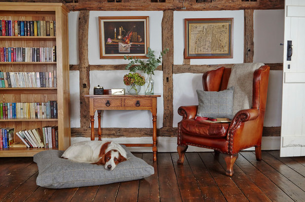 Traditional Living Room by The Stylish Dog Company