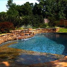 Lisa Backyard