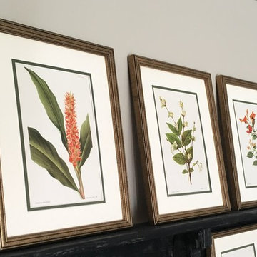 Botanical Prints