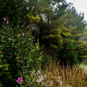 The Cottage