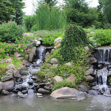 Landscape Ideas