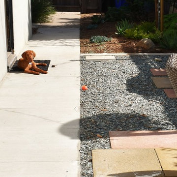 Family Friendly Modern Eclectic, Leucadia, CA