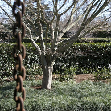 English Garden for a Craftsman Remodel at Home Ranch