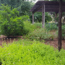 Outdoor picnic area and greenhouse