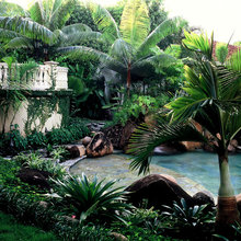 back yard