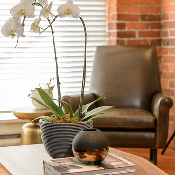 Motto Interior Design - Hamilton Loft