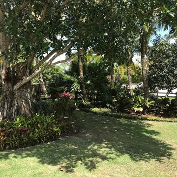 Equestrian landscape - Palm Beach Point