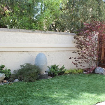 San Jose, CA *Backyard*
