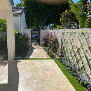 After - Espalier, Trained Vines on Wall