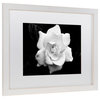"Gardenia in Black and White" by Kurt Shaffer, 20"x16"