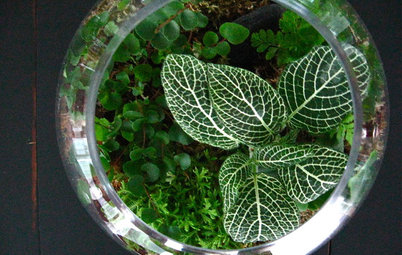 Bring Nature Indoors With 12 Botanically Inspired DIY Projects