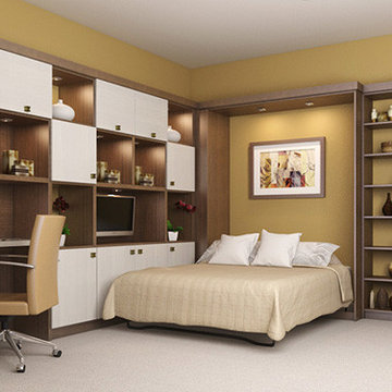 Downsizing? Office/Bedroom Combo?