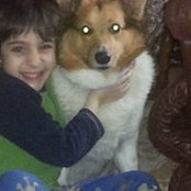 Dawn Sadoff Eshaghi's photo