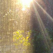 Foto von Anne Williams