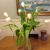 margaretar's photo