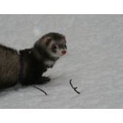 John von Husen's photo