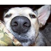 Georjana Mauldin's photo