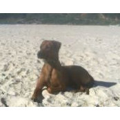 Raquel Berraz's photo